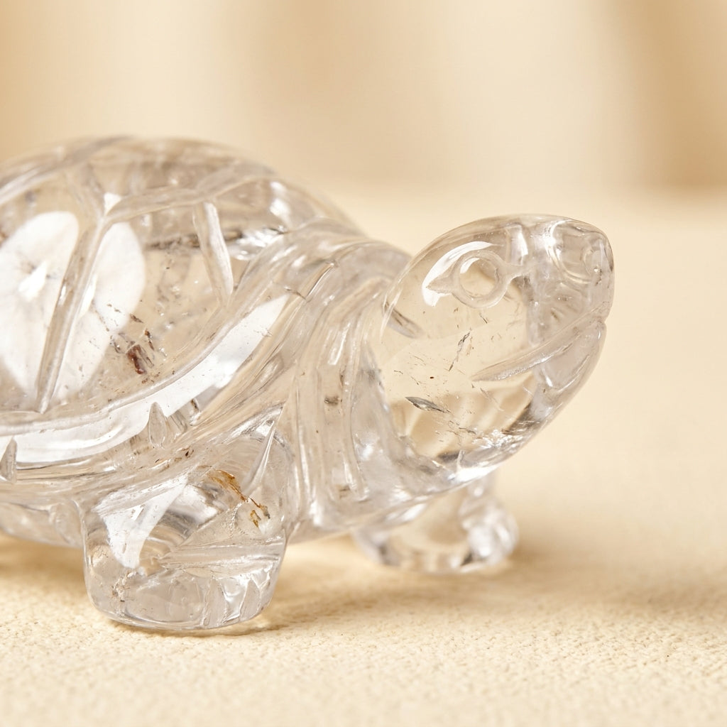 Crystal tortoise, detail texture