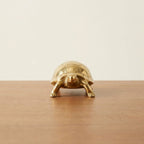 Brass tortoise, hero front view