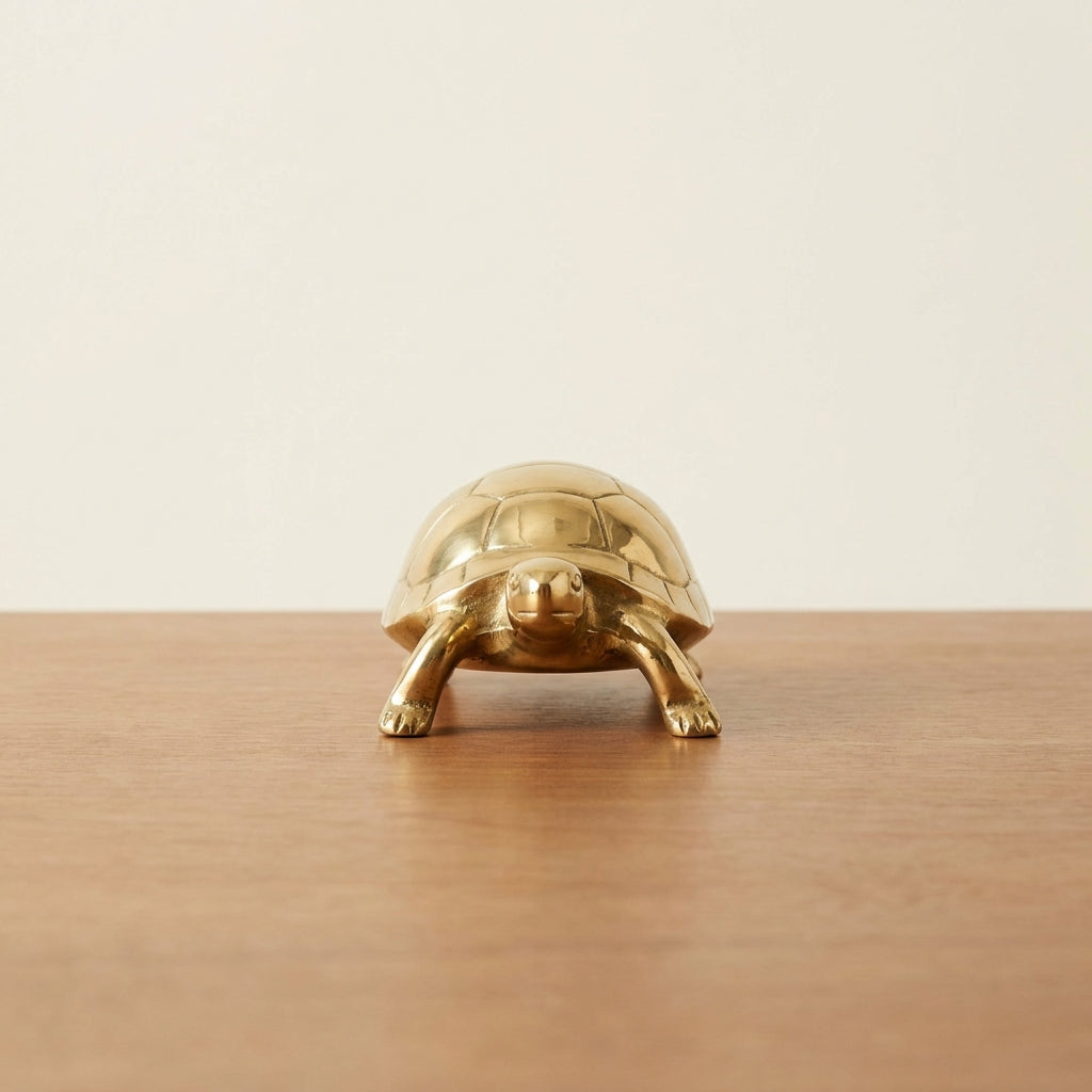 Brass tortoise, hero front view