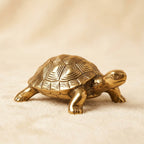 Brass tortoise, detail texture