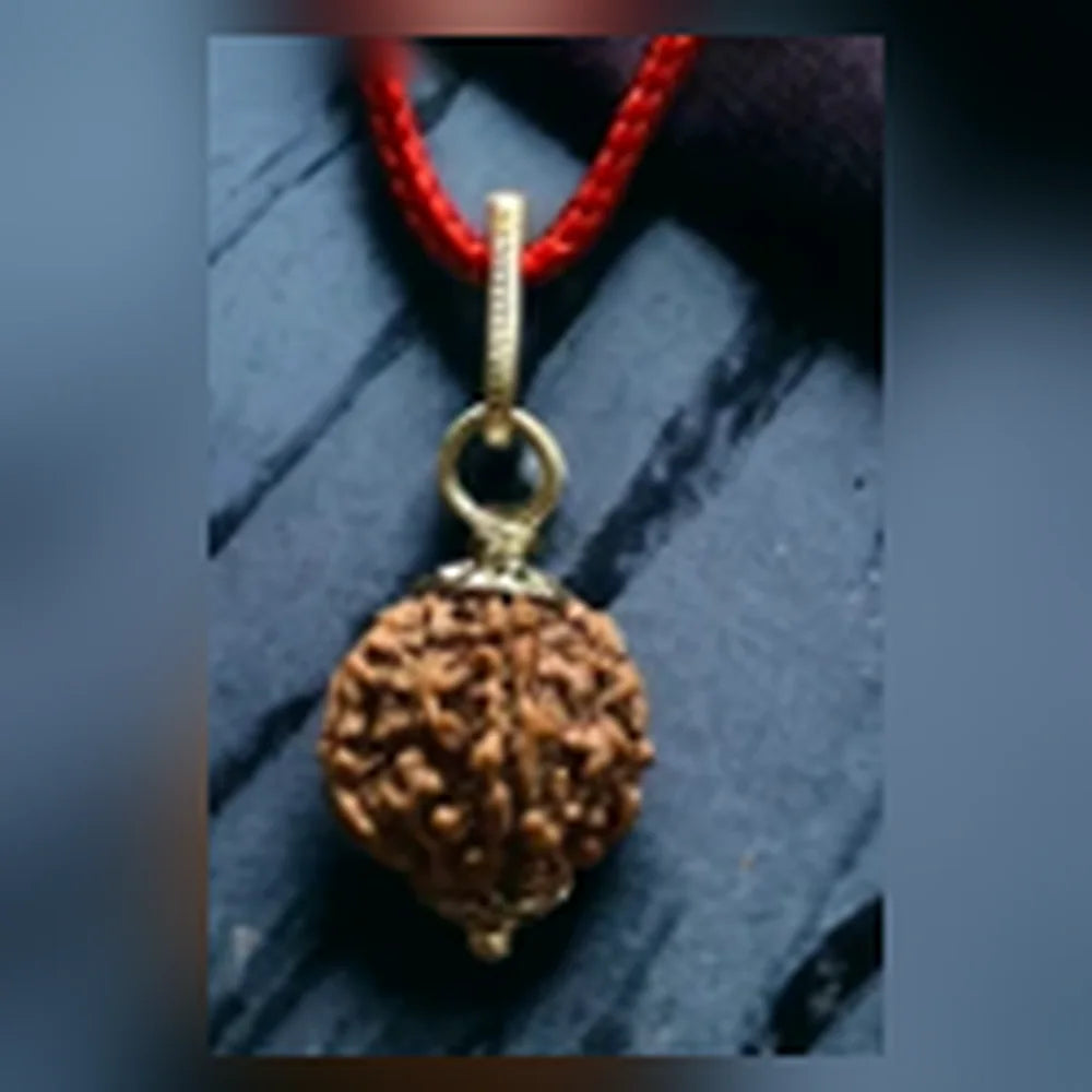5 Mukhi Rudraksha Silver Cap Pendant detail view with red thread and simple top silver fitting