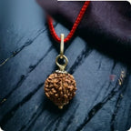 Nityara 5 Mukhi Rudraksha Silver Cap Pendant on traditional red thread hero view