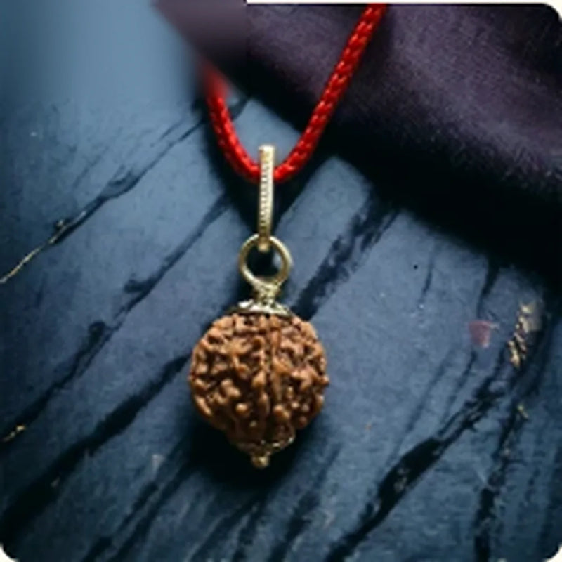 5 Mukhi Rudraksha Silver Cap Pendant material detail