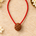 7 Mukhi Rudraksha Thread Pendant top view on warm ivory stone