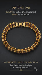 Gold Plated Modern Rudraksha Bracelet